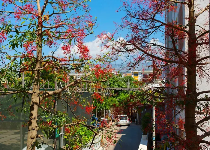 Estate4home- Casa Mama Апартаменты *